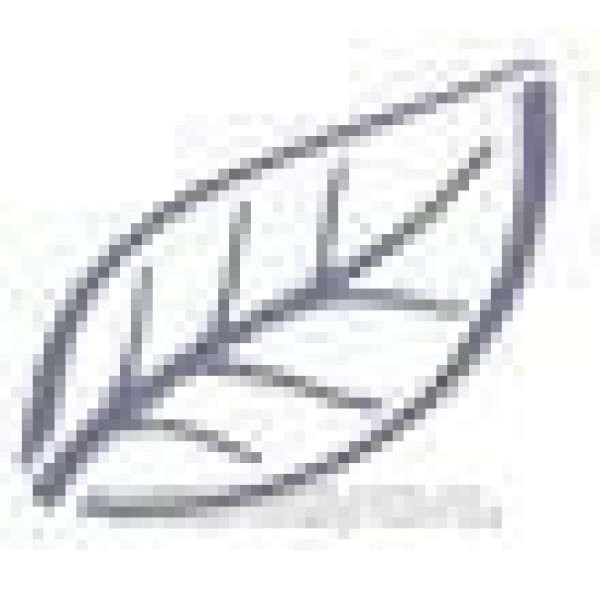 Рушники у рулонах супер м'які Premium Tork Matic