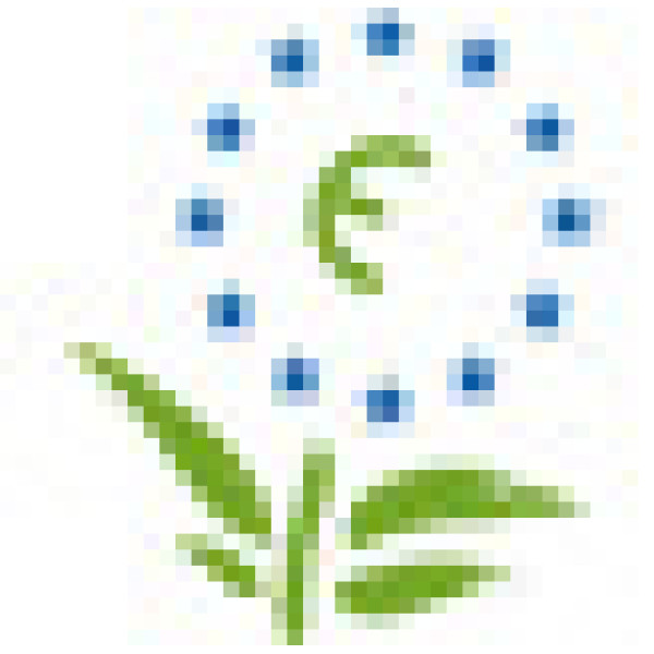 Рушники Katrin Plus 2сл