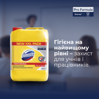 Мийний засіб з дезінфікуючим ефектом для підлоги стін унітазів і пісуарів 5 л готовий засіб
