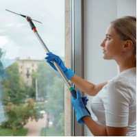 Склиз для миття вікон Еволюшн у зборі, 45 см