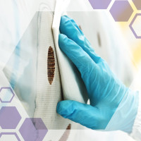 Матеріал для протирання в серветках KimKimtech для делікатного очищення білий 280 листів